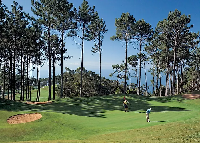 Dom Pedro Garajau Caniço