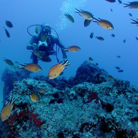 Otel Dom Pedro Garajau Caniço