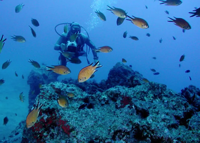 Hotel Dom Pedro Garajau Caniço